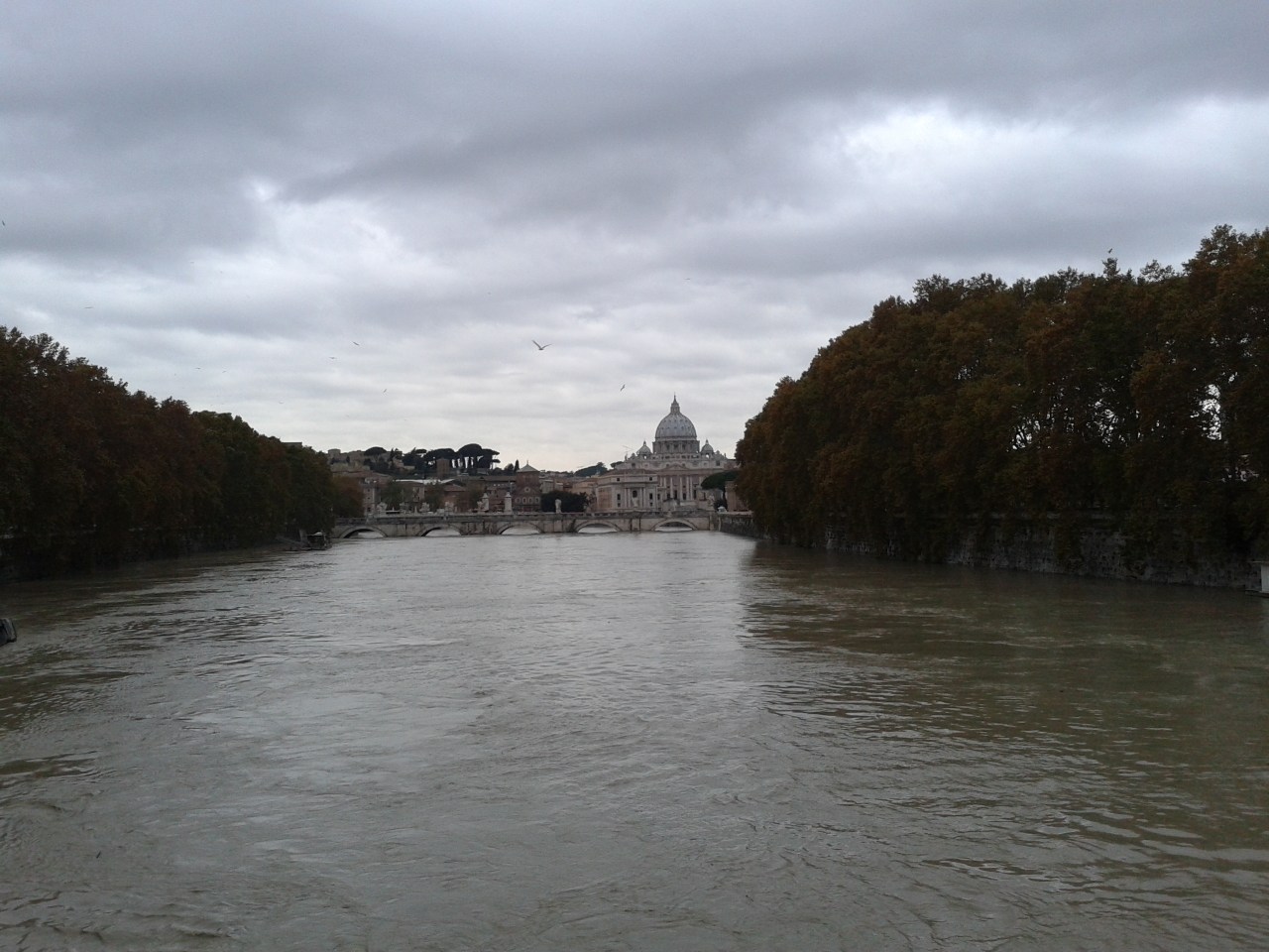 15 novembre 2012 Tevere in Piena al PUI