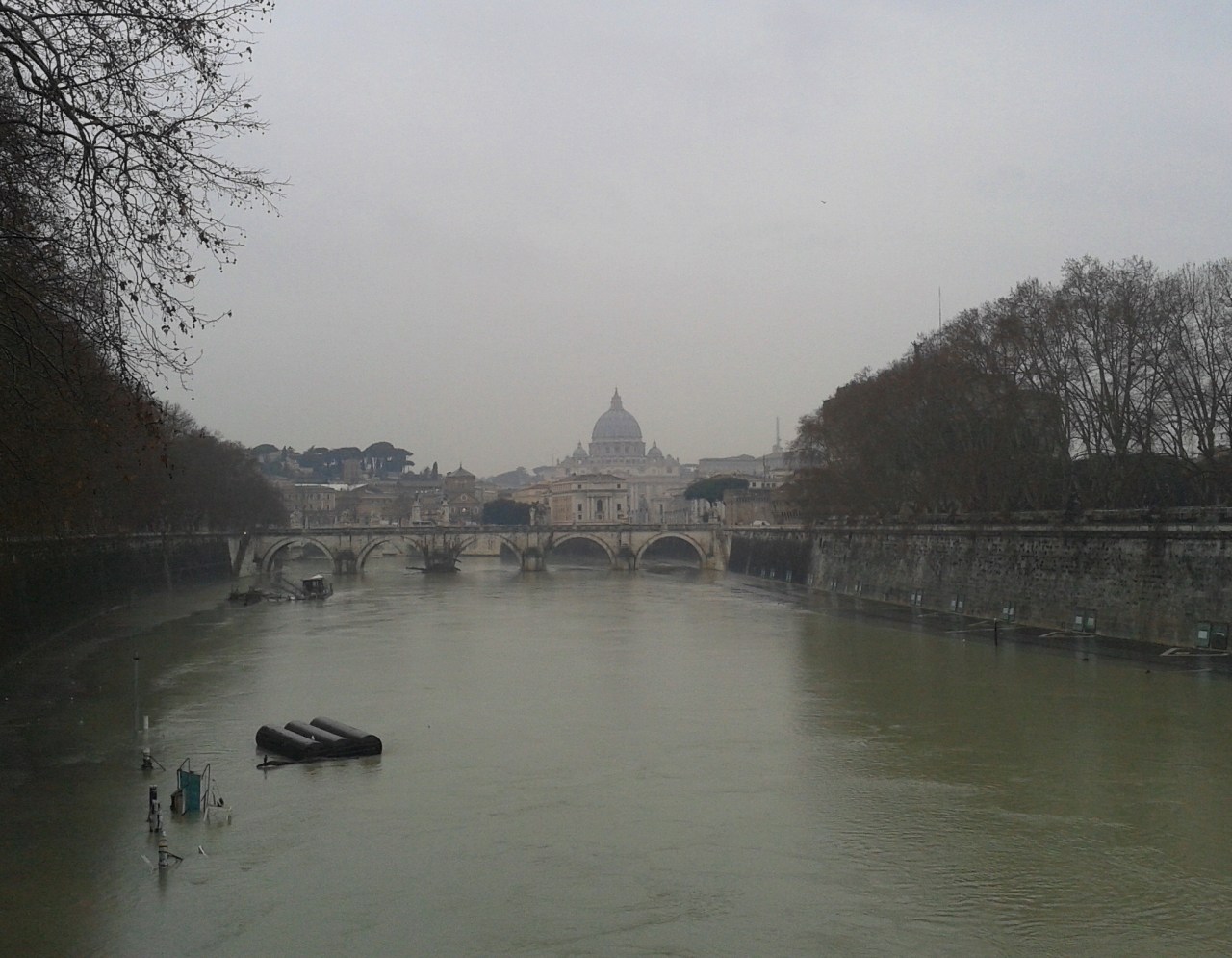 St Pieter in Rome 28 January 2013