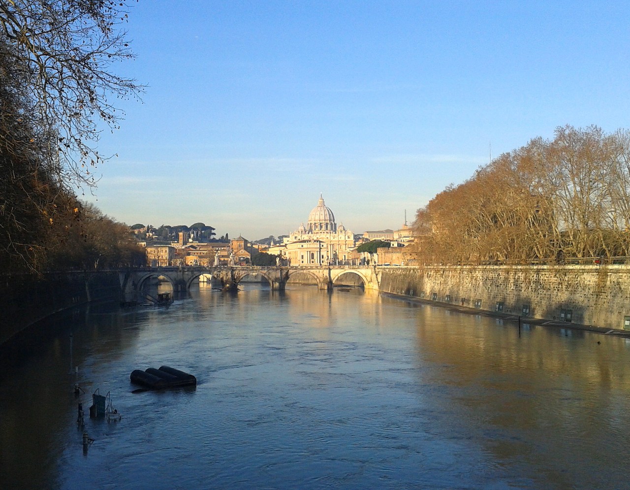 30 january 2013 st pieter basilica Rome