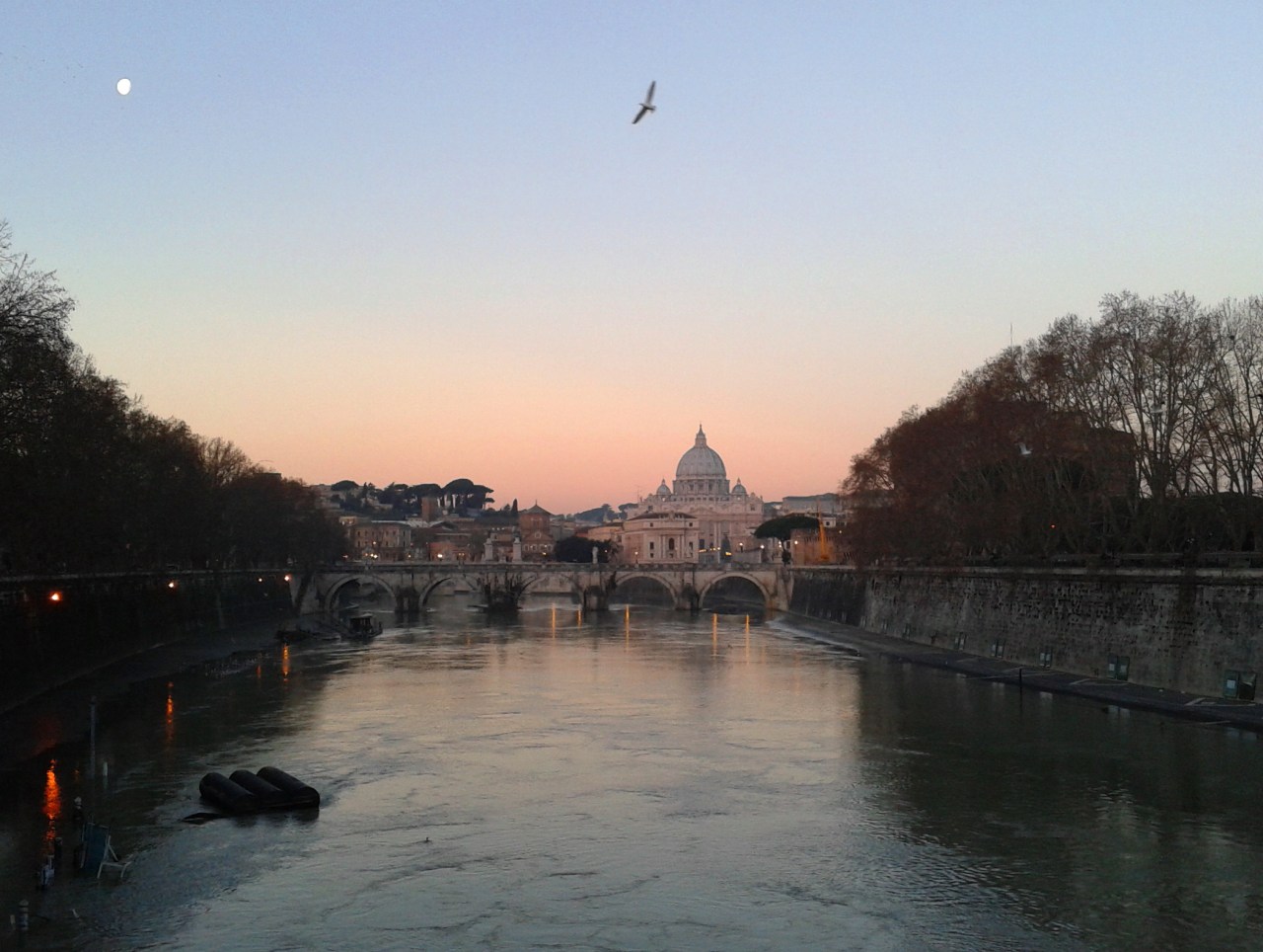 E a voi la Luna 31 gennaio 2013